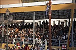 207TS11ZOGO_E110.jpg