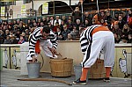 207TS11ZOGO_E137.jpg